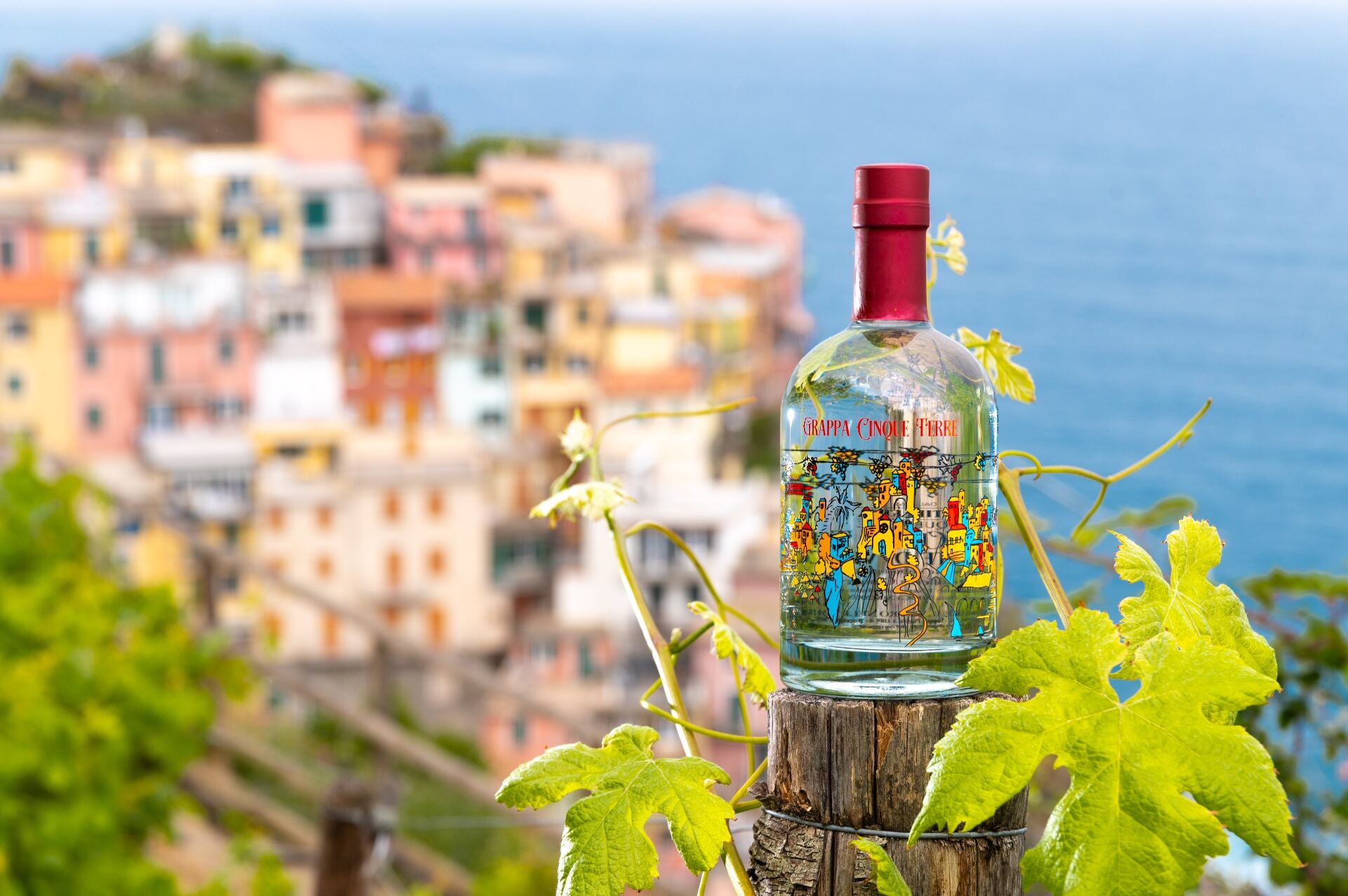 Distilleria Cinque Terre