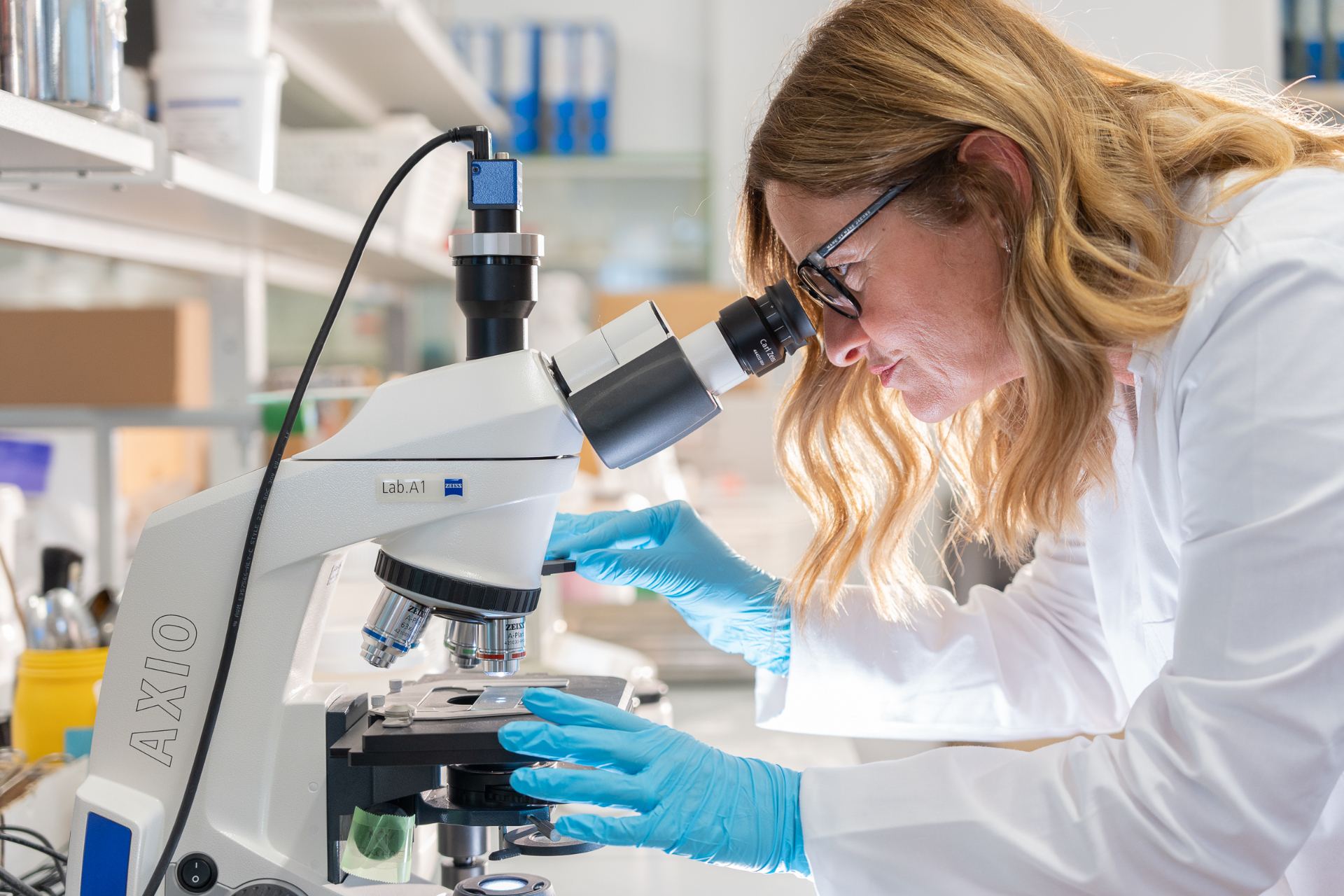 Ricerca in Laboratorio