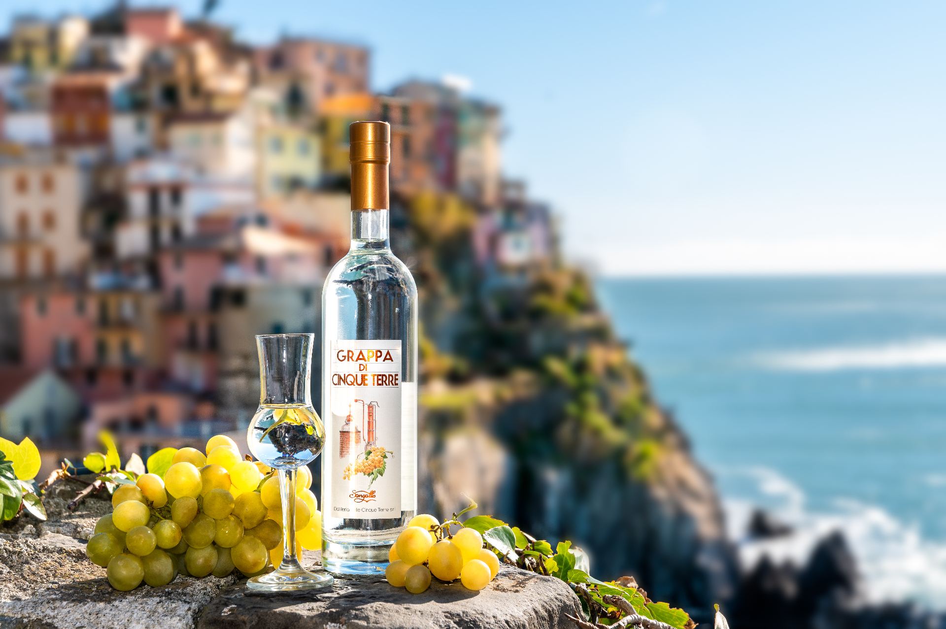 Grappa Cinque Terre